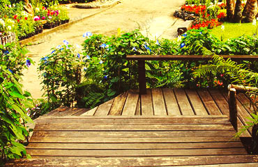 Команда профессионалов